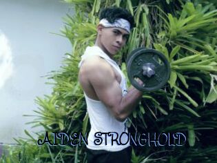 AIDEN_STRONGHOLD