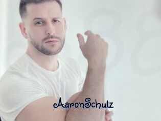 AaronSchulz