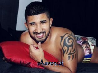 Aaroncat