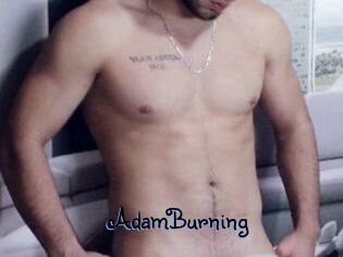 AdamBurning