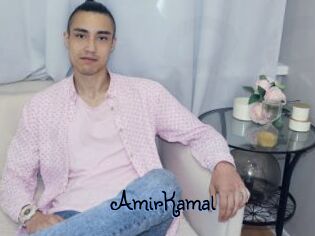 AmirKamal
