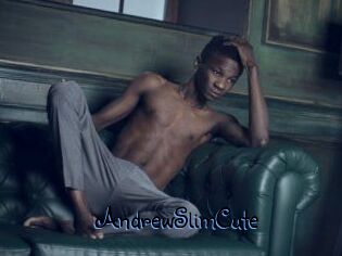 AndrewSlimCute
