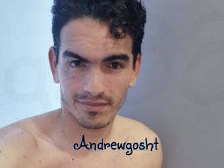 Andrewgosht