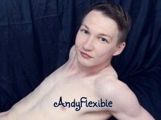 AndyFlexible