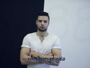 AnthonyJigalo
