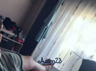 Adam23