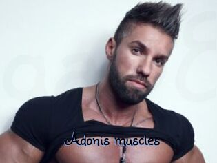Adonis_muscles