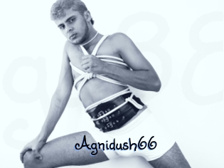 Agnidush66
