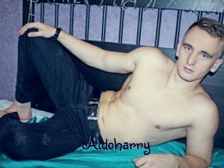 Aldoharry
