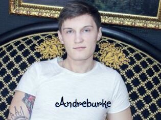 Andreburke