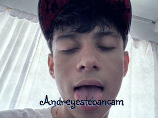 Andreyestebancam