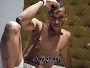 Andybony