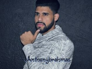 Anthonybrahmas