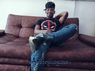 Anthoywayans