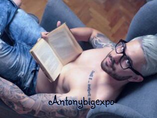 Antonybigexpo