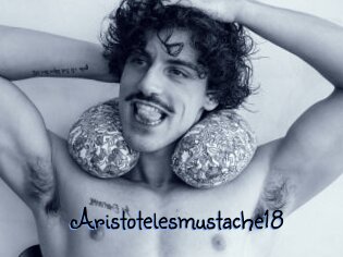 Aristotelesmustache18