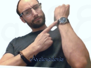Avalonadonis