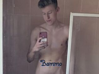 Bammo