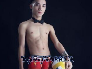BigSexyWARRIOR