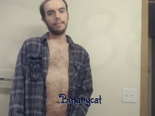 Binarycat