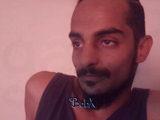 BobX