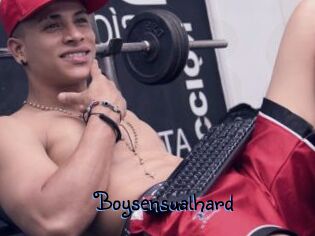 Boysensualhard