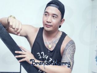 BrandonHarry