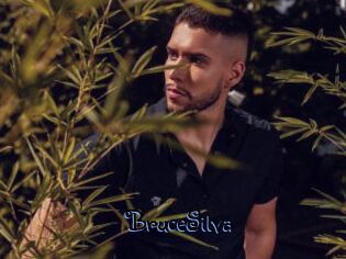BruceSilva