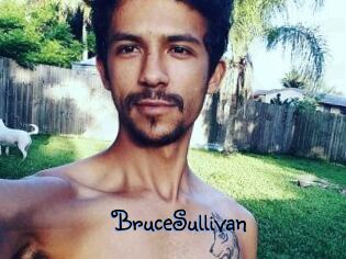 Bruce_Sullivan