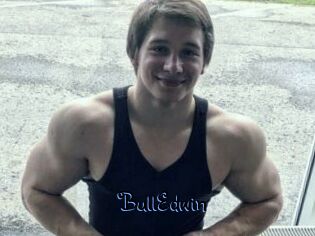 BullEdwin