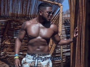 benjamincol Gay 88