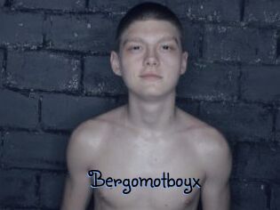 Bergomotboyx
