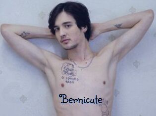 Bernicute