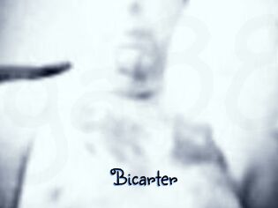 Bicarter