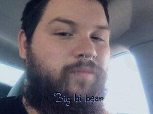 Big_bi_bear