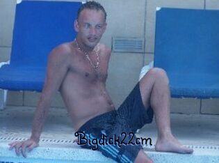 Bigdick22cm