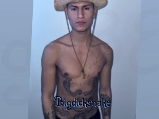 Bigdicksnake