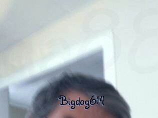 Bigdog614