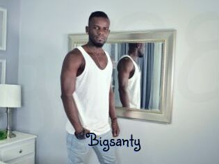 Bigsanty