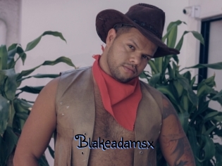 blakeadamsx Gay 88