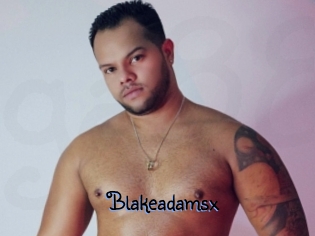 blakeadamsx Gay 88