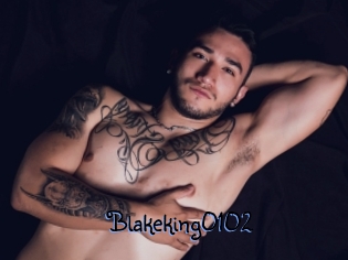 Blakeking0102