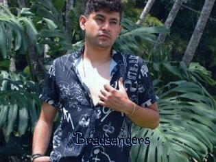Bradsanders