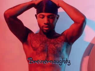 breinernaughty Gay 88