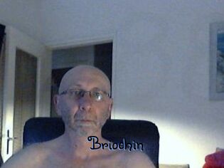 Briochin