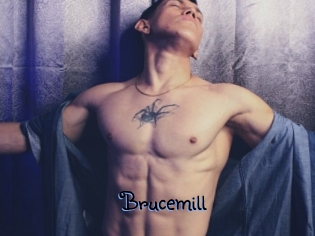 Brucemill