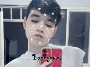 Bunnymaxi
