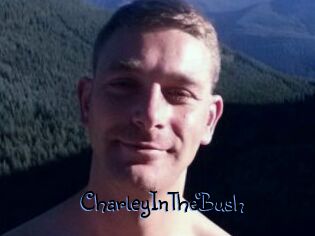 CharleyInTheBush