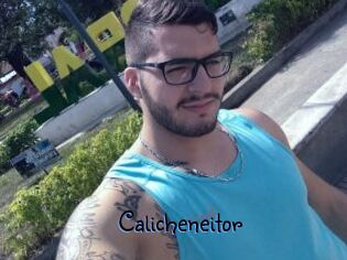 Calicheneitor