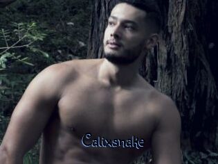 Calixsnake
